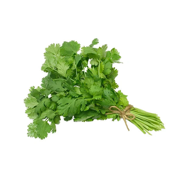 Coriandre