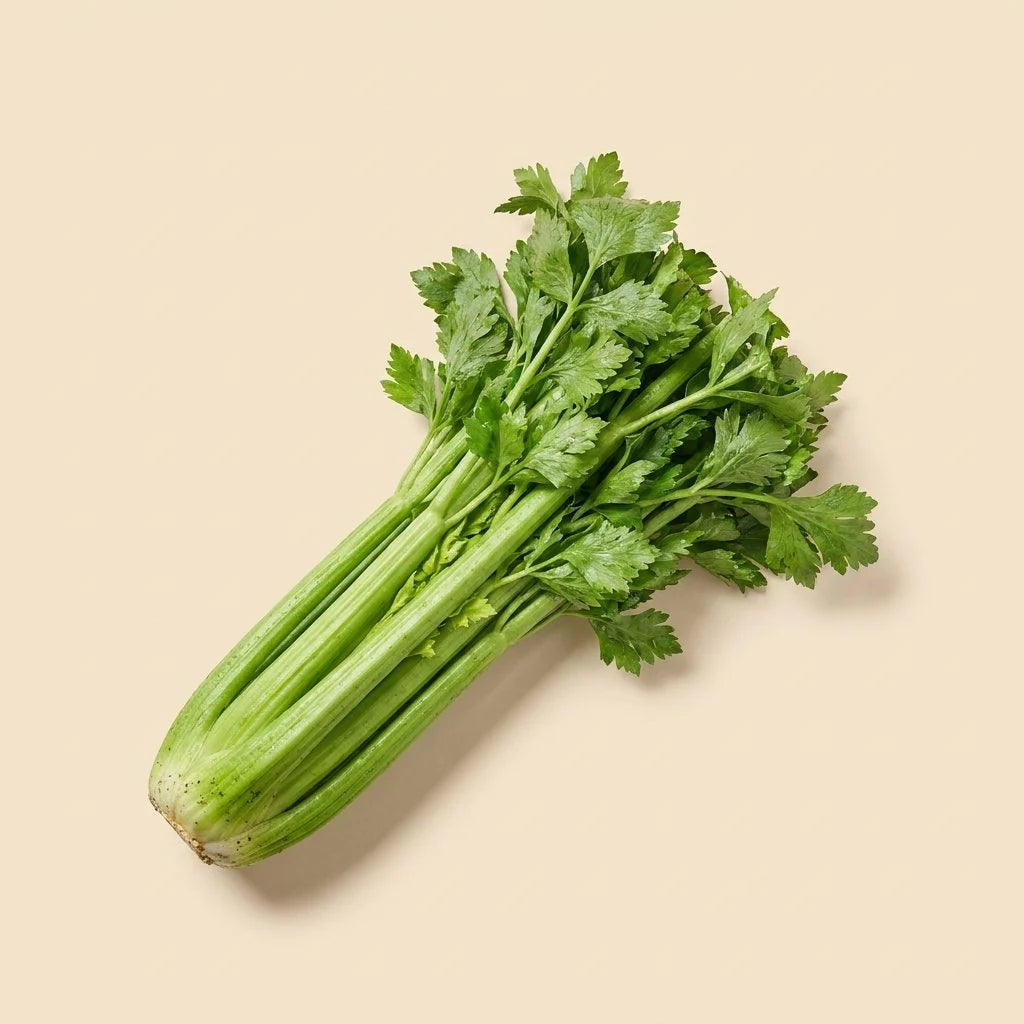Selderij
