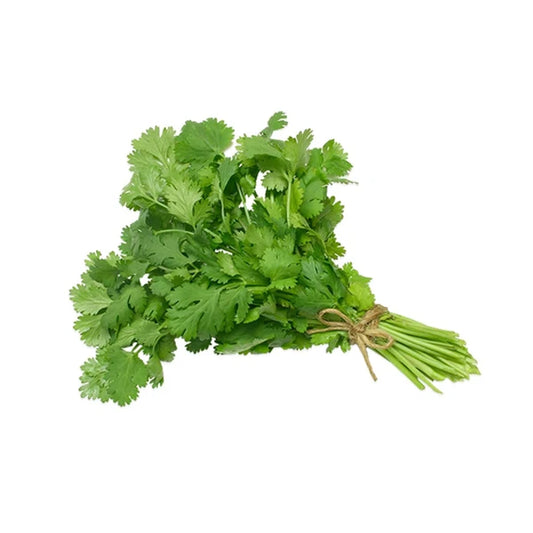 Coriandre