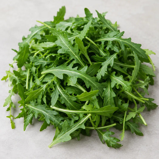 Rucola