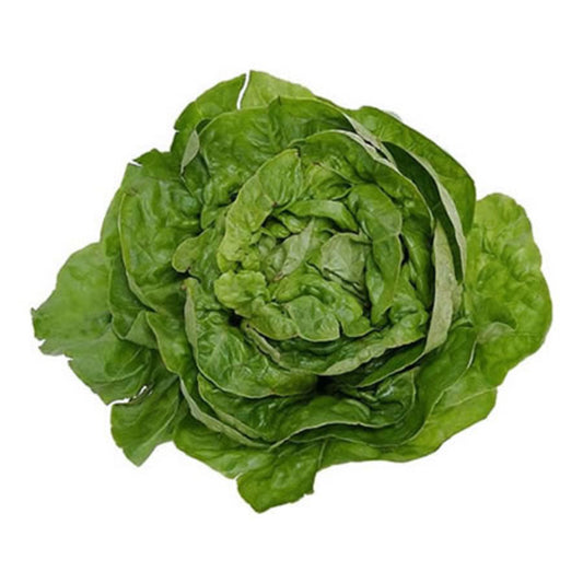 Salade laitue