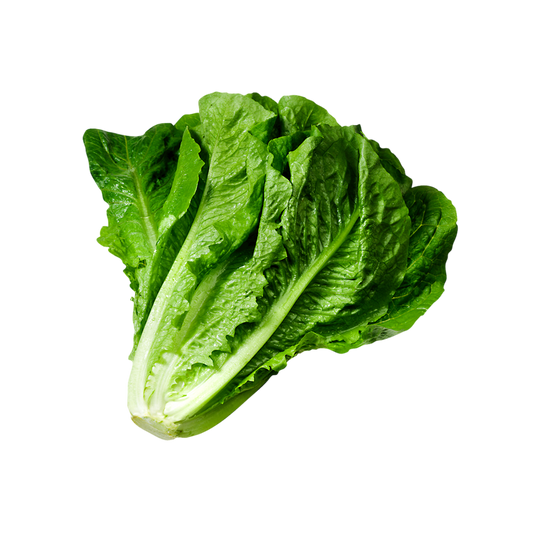 Salade Romaine